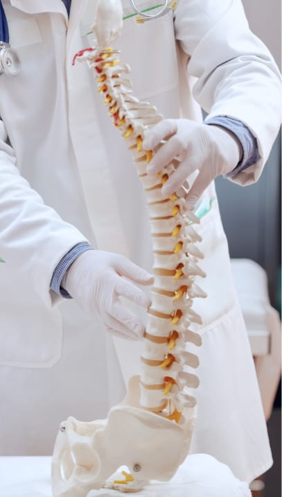 Spine360
