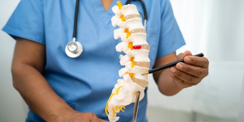 Doctor pointing a human lumbar vertibrae skeleton using a pen and explaining about it